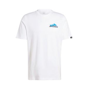 REMERA OUTDOOR HOMBRE ADIDAS TERREX BACK GFX